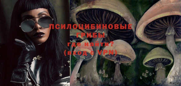 ГАЛЛЮЦИНОГЕННЫЕ ГРИБЫ Алексеевка
