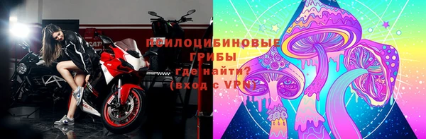 2c-b Алзамай
