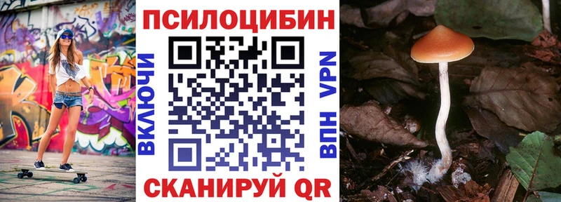 darknet официальный сайт Пустошка Галлюциногенные грибы Psilocybe кракен вход