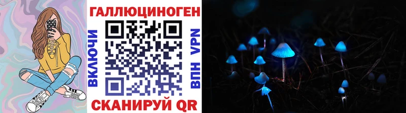 Псилоцибиновые грибы Cubensis Пустошка
